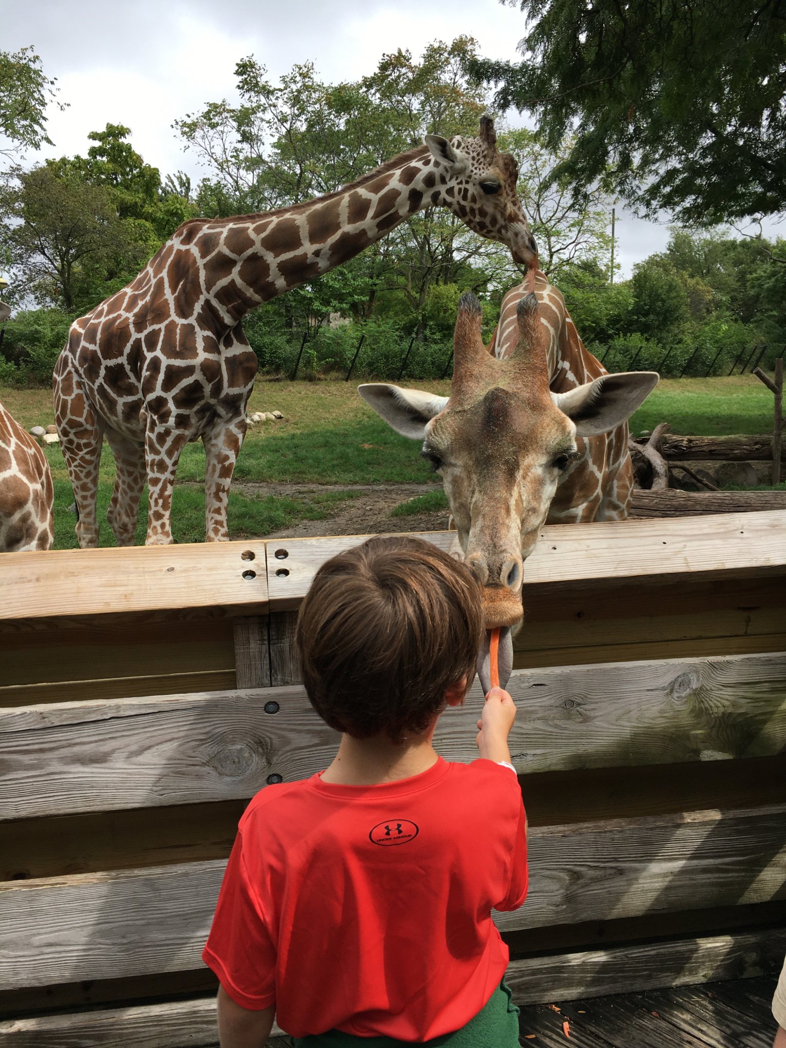 How To Make Your Zoo Trip More Educational For Kids